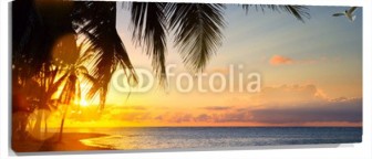 Lienzo Palmeras en playa atardecer